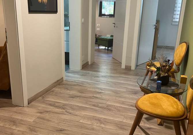 Ambjent biznesi me qera 1+1 ne Tirane - 800 Euro