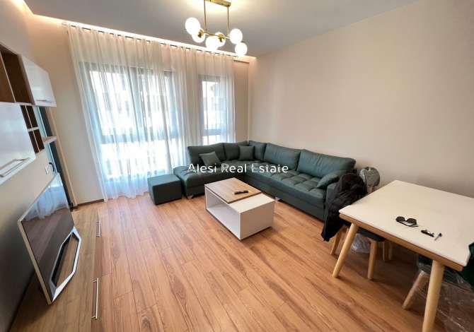 House for Rent 1+1 in Tirana - 65,000 Leke