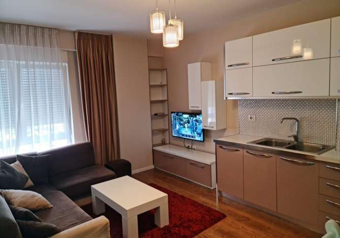 House for Rent 1+1 in Tirana - 401 Euro
