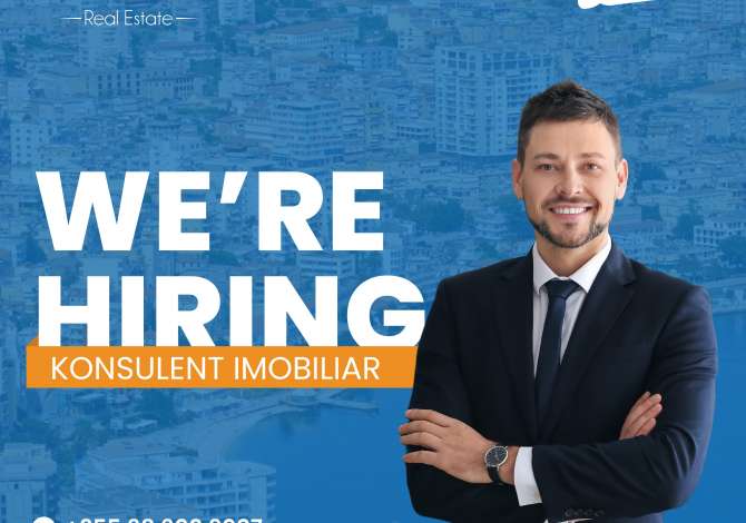 Job Offers it consultant No Experience in Vlora