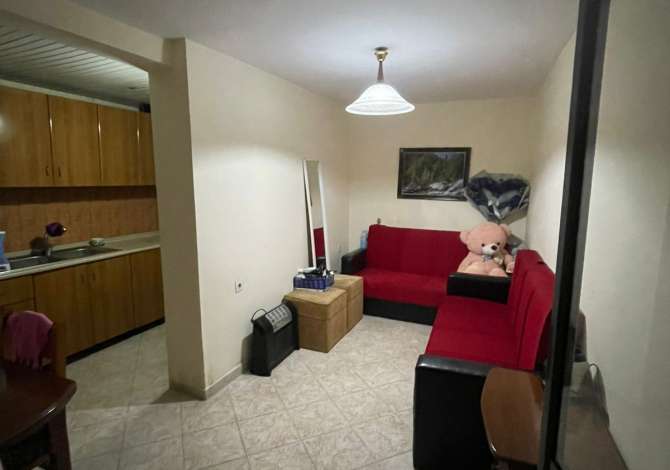 House for Rent 1+1 in Tirana - 3,000 Leke
